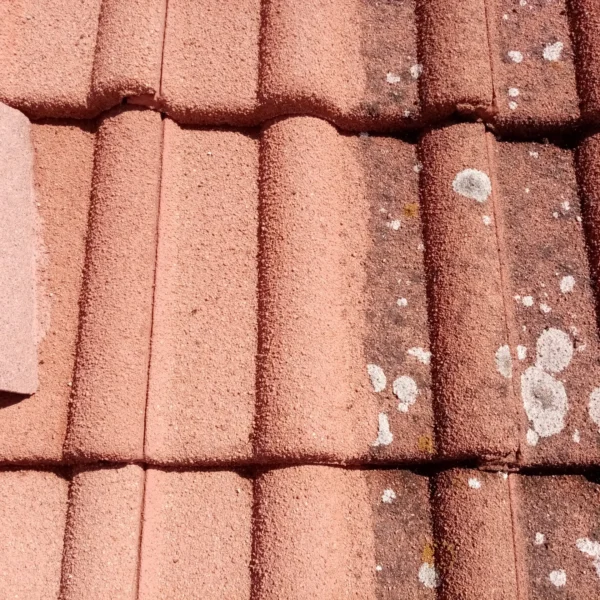 Detail na plíseň na střeše před a po čištění